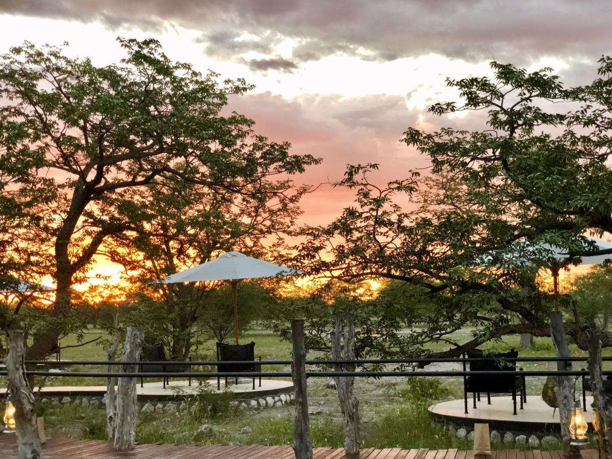 Etosha Oberland Lodge Okaukuejo Ngoại thất bức ảnh