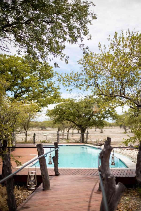 Etosha Oberland Lodge Okaukuejo Ngoại thất bức ảnh